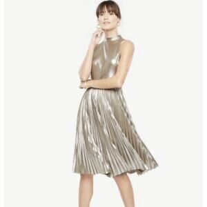 Ann Taylor Shimmer Chiffon Pleated Dress